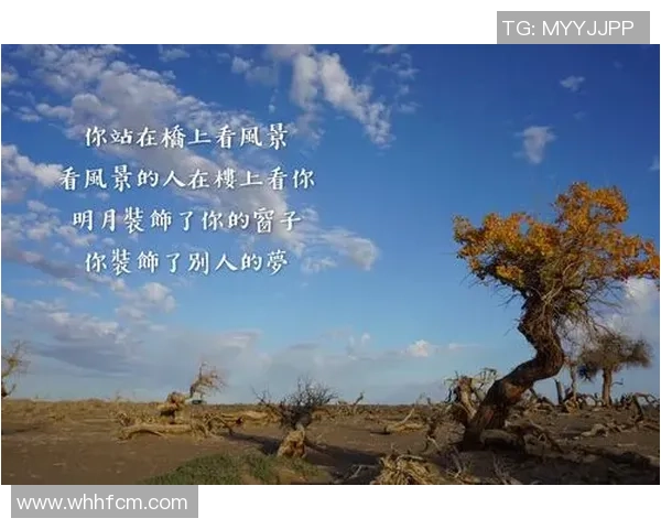 深度对话赵军探讨足球人生与职业生涯的心路历程与成长故事