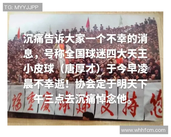 重庆排球队速度之争引发热议球迷与专家各执己见