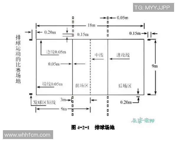 深圳排球队整体压制战术解析及其对排球赛场的影响分析